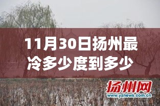 扬州11月30日气温探底，掌握当日温度范围查询全攻略