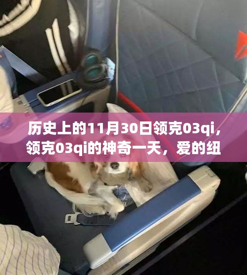 资讯动态 第290页