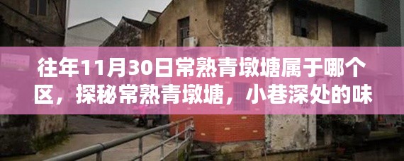 公司简介 第287页