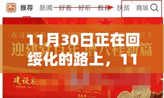 11月30日回绥化路上的体验分享，深度解析产品特性与使用感受
