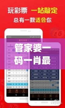 管家婆一码一肖最准资料,重要性分析方法_钱包版78.461-7