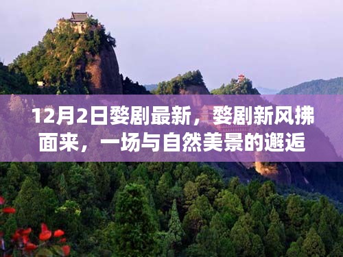 资质荣誉 第272页