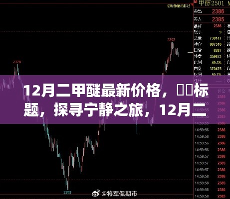 飞来横祸 第4页