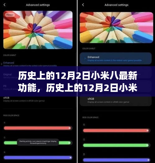 见仁见智 第4页