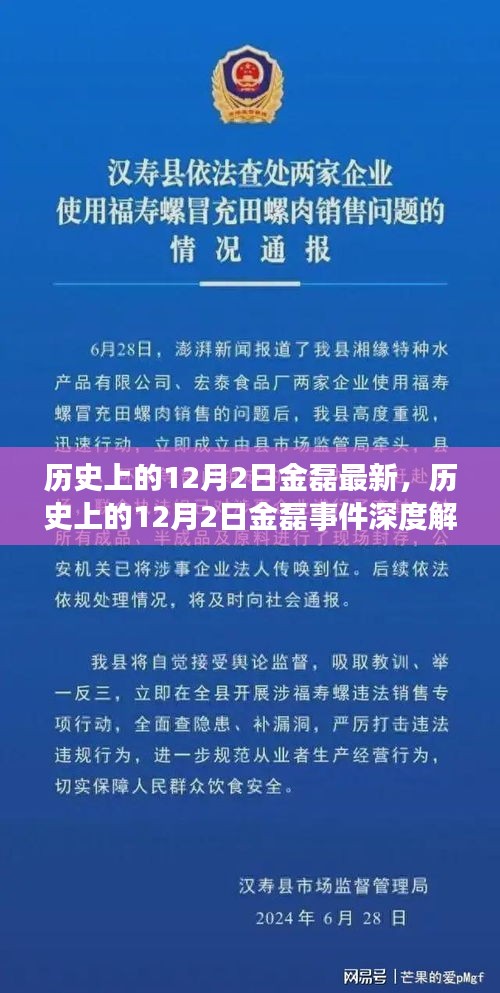 历史上的12月2日金磊事件深度解析，最新事件回顾与解析