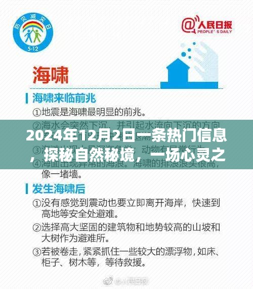探秘自然秘境，心灵之旅启程于2024年12月2日热门信息揭秘