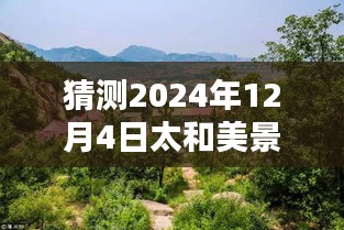 纲举目张 第4页