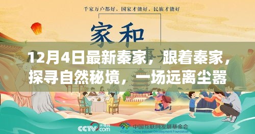 探寻秦家秘境，一场远离尘嚣的心灵之旅
