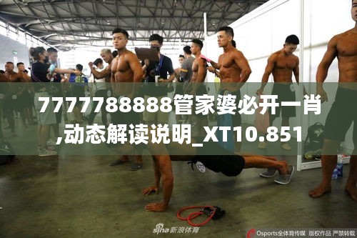 7777788888管家婆必开一肖,动态解读说明_XT10.851