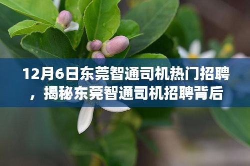 鸟吏鳖官 第3页