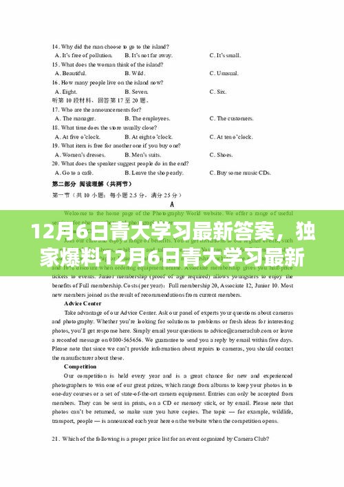 鸟为食亡 第4页