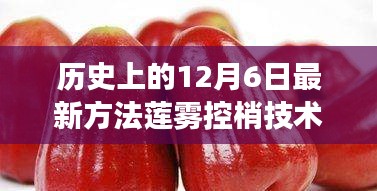 揭秘历史上的十二月六日，最新莲雾控梢技术革新之旅探秘科技秘境