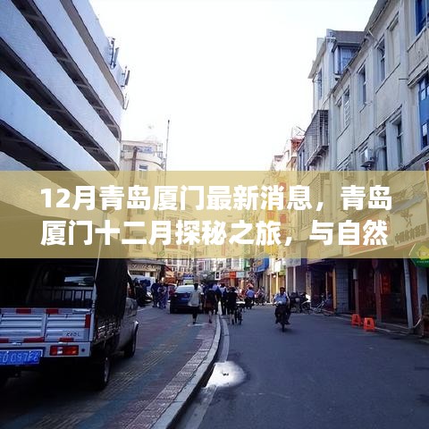 青岛厦门十二月探秘之旅，与自然共舞，寻找内心宁静平和的平和时光
