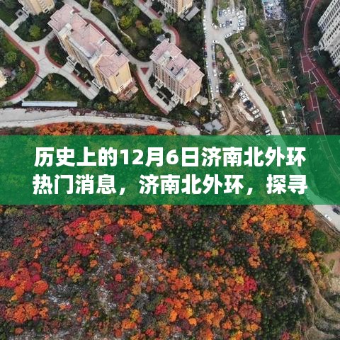 碧瓦飞甍 第4页