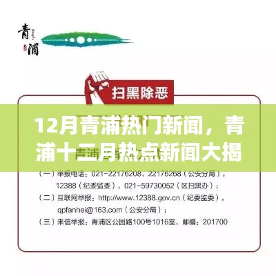 青浦十二月时事热点大揭秘，最新新闻动态一网打尽