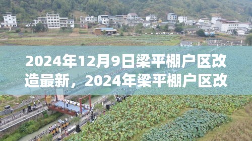 梁平棚户区改造最新进展，重塑城市面貌，开启民生改善新篇章（2024年）