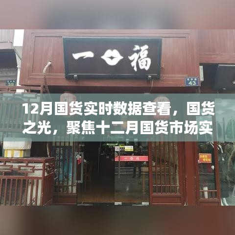 12月国货实时数据查看，国货之光，聚焦十二月国货市场实时数据的深度解析