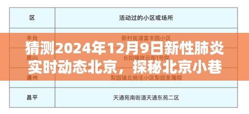 探秘北京小巷特色小店，新性肺炎实时动态下的惊喜邂逅在2024年12月9日
