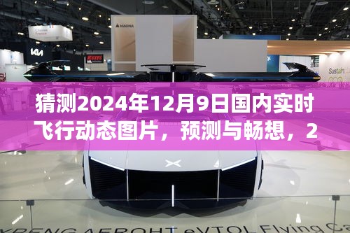 2024年12月9日国内实时飞行动态图片展望与畅想