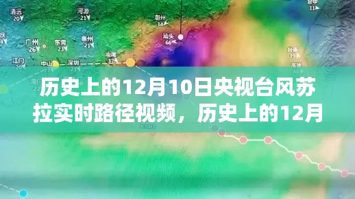 历史上的12月10日央视台风苏拉实时路径深度解析与观点阐述视频回顾