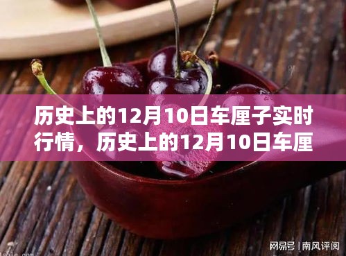 花开无言 第4页