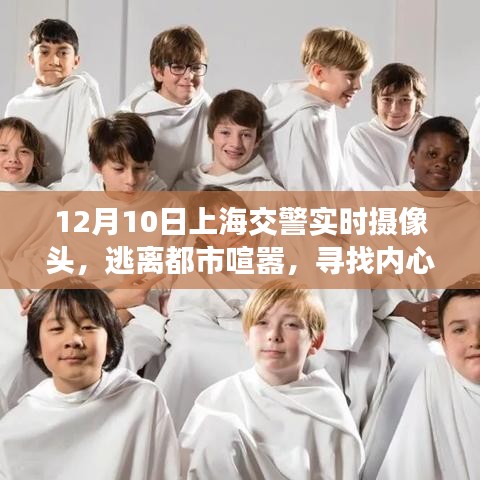 上海交警实时摄像头下的魔法之旅，寻找内心平静的十二月奇迹之旅