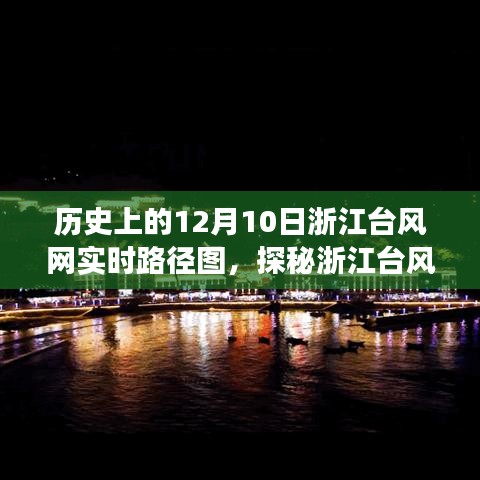 浙江台风网实时路径图与神秘小巷美食之旅，历史视角下的台风日与美食探寻