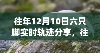 迷离马虎 第4页