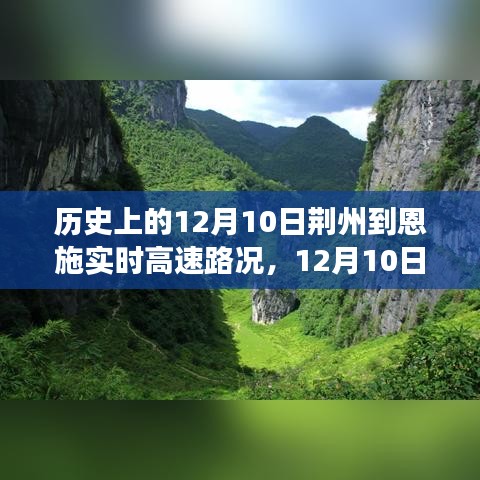 七上八下 第5页