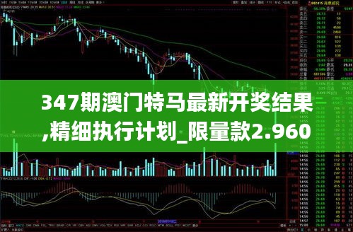 347期澳门特马最新开奖结果,精细执行计划_限量款2.960