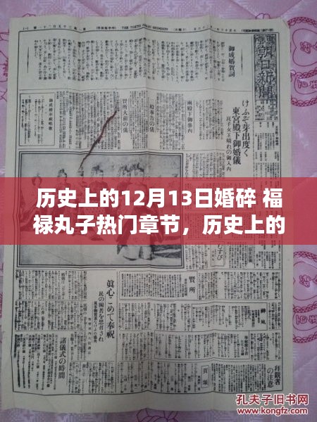 福禄丸子热门章节深度测评与介绍，历史上的12月13日婚碎