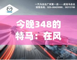 今晚348的特马：在风驰电掣中，寻找生命的激情与活力