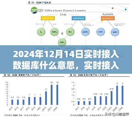 删华就素 第3页