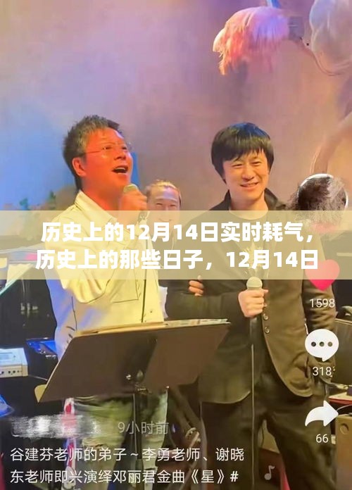 历史上的那些日子，探寻内心宁静与平和的旅程——聚焦12月14日的实时耗气日