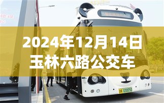 鸟之将死 第3页