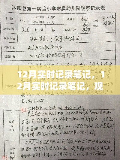 12月实时记录笔记，观察、思考与总结的全面梳理