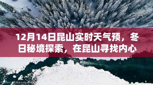 真独简贵 第4页