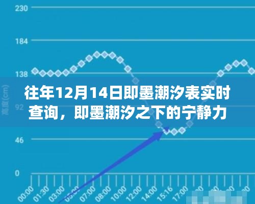 即墨潮汐之旅，探寻宁静力量，远离尘嚣的潮汐表实时查询体验