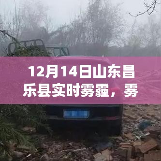 窗明几净 第3页