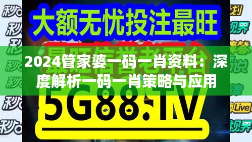 2024管家婆一码一肖资料：深度解析一码一肖策略与应用