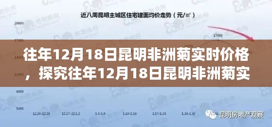 往年12月18日昆明非洲菊市场深度分析，实时价格与市场波动探究
