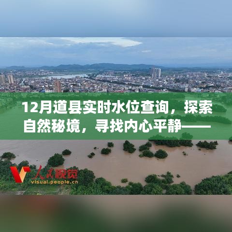 束手就禽 第4页