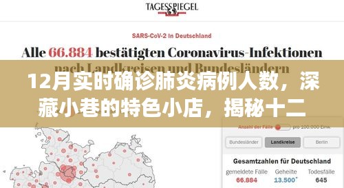 深藏小巷的特色小店，揭秘十二月肺炎病例背后的故事与实时数据