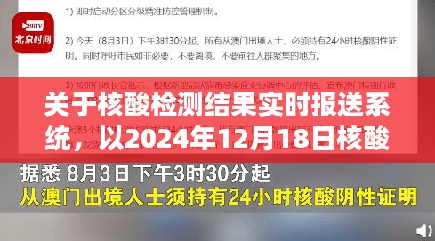 核酸检测结果实时报送系统评测报告，以2024年12月18日为例的详细分析