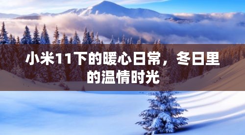 小米11下的暖心日常，冬日温情时光体验