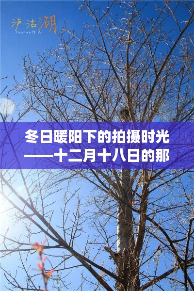 冬日暖阳下的温馨记忆之旅——十二月十八日的拍摄时光