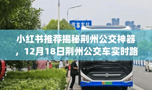 鸢飞戾天 第3页