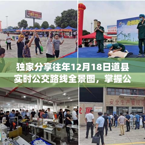 独家分享，往年12月18日道县实时公交全景图，轻松掌握公交动态，出行无忧！