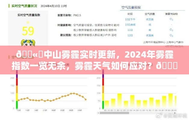 金石为开 第4页