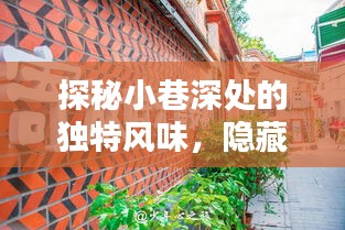 台风米娜阴影下的小巷美食探秘，独特风味特色小店之旅